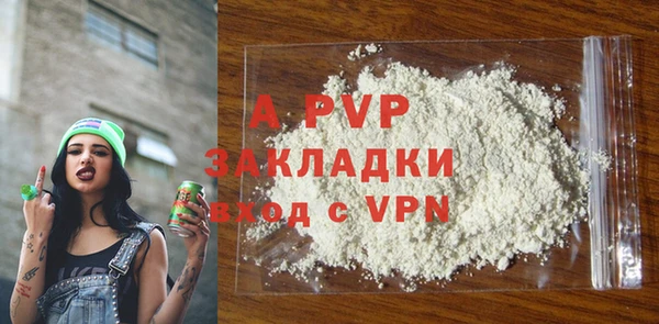 PSILOCYBIN Заводоуковск