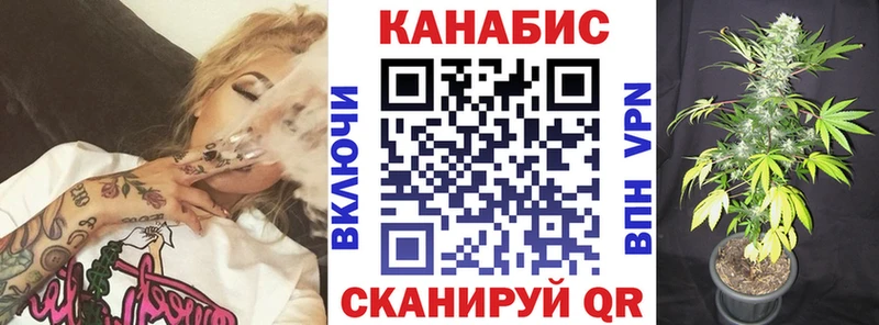 блэк спрут вход  Жуковка  Бошки Шишки семена  площадка как зайти  наркота 
